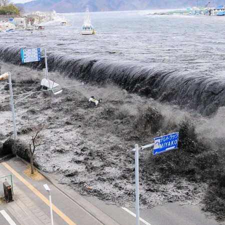 קורס Disaster Mitigation Managment – DMM